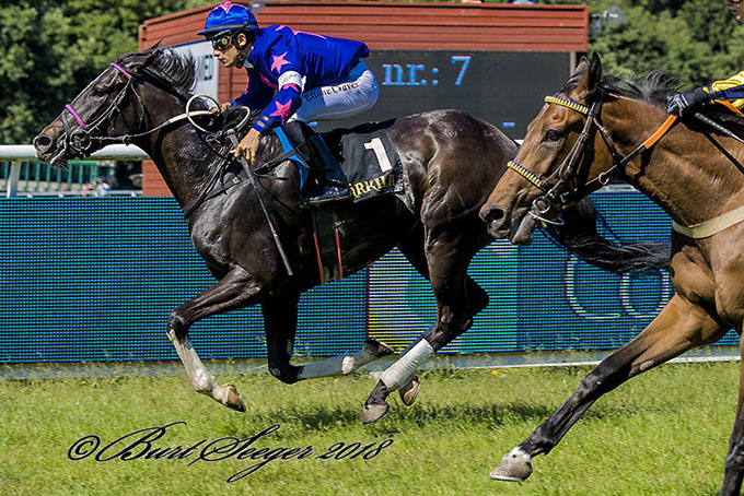 MISS RIVERDANCE (IRE) MISS RIVERDANCE (IRE)