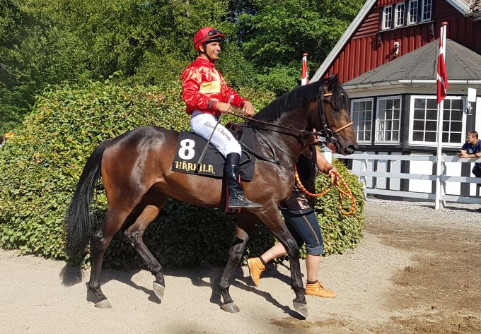 Lord Of Elsinore (SWE) Lord Of Elsinore (SWE)