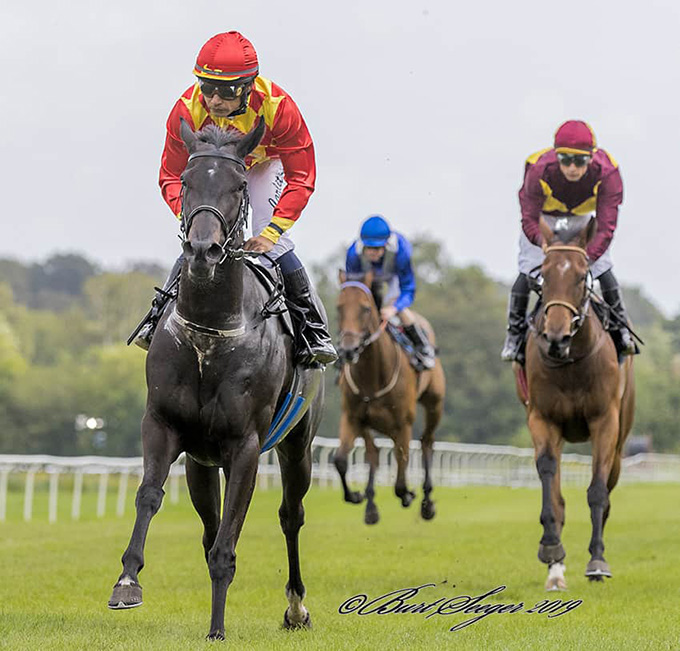 Meringue (IRE), redet af Carlos Lopez, sejrer i Scanvet Stallions 3-Års Cup, Klampenborg, 11. aug. 2019. Foto Burt Seeger Meringue (IRE), redet af Carlos Lopez, sejrer i Scanvet Stallions 3-Års Cup, Klampenborg, 11. aug. 2019. Foto Burt Seeger