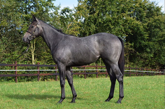 Miss Spectre (SWE) Miss Spectre (SWE)