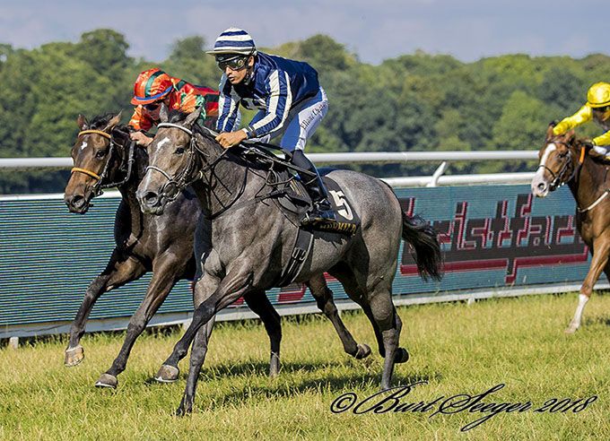 2-årige Miss Spectre (SWE), ejet af familien Haugaard, aflægger sin maidentitel under Elione Chaves, lørdag den 28. juli 2018. Foto Burt Seeger 2-årige Miss Spectre (SWE), ejet af familien
Haugaard, aflægger sin maidentitel under Elione Chaves, lørdag den 28. juli 2018. Foto Burt Seeger