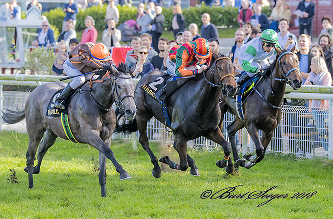SILVERSTONE (DEN) sejrer med jockey Manuel Martinez i Vinterfavoritternes Ærespræmie 2018. Foto Burt Seeger SILVERSTONE (DEN) sejrer med jockey Manuel Martinez i Vinterfavoritternes Ærespræmie 2018. Foto Burt Seeger