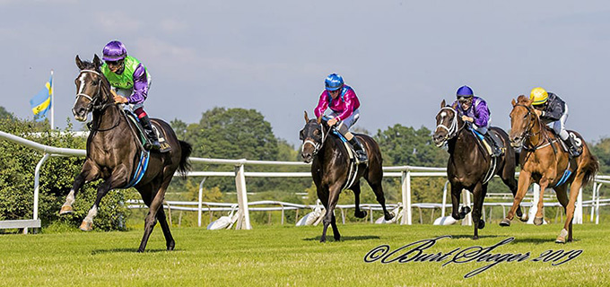 Maidensejr til Acapello (IRE), redet af jockey Carlos Lopez, Klampenborg 27. juli 2019. Foto Burt Seeger Maidensejr til Acapello (IRE), redet af jockey Carlos Lopez, Klampenborg 27. juli 2019. Foto Burt Seeger