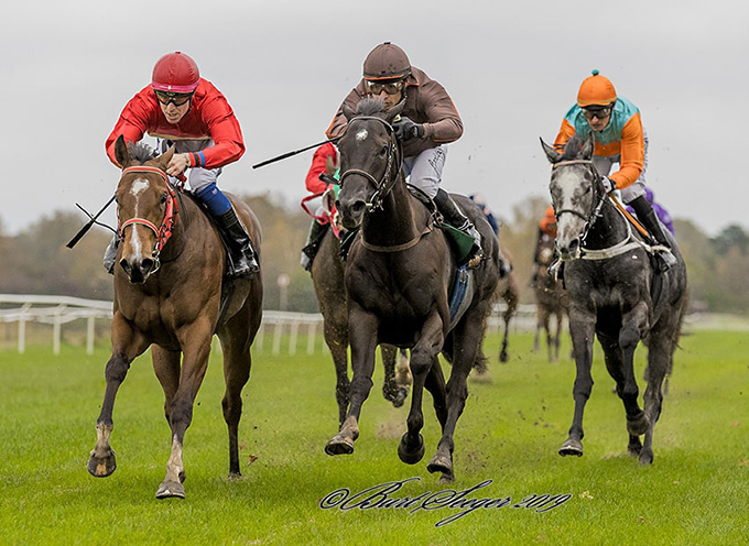 Maidensejr til Stall Inco's import, irskopdrættede 2 årige Stoneeye's Kitten, redet af Nicolaj Stott, lørdag d. 26. okt. 2019. Foto Burt Seeger Maidensejr til Stall Inco's import, irskopdrættede 2 årige Stoneeye's Kitten, redet af Nicolaj Stott, lørdag d. 26. okt. 2019. Foto Burt Seeger