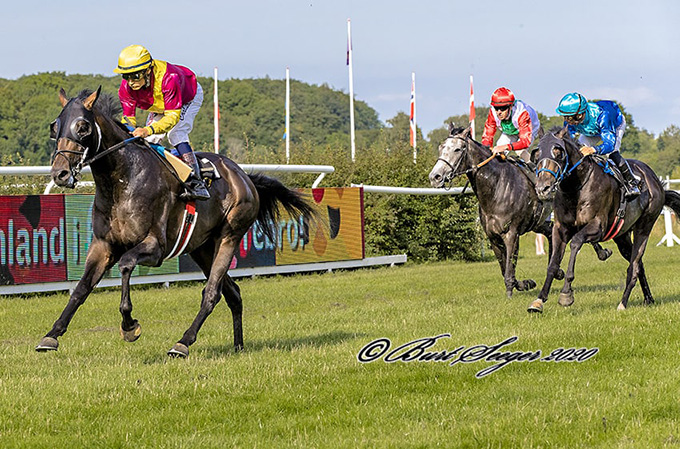 The Maestro (DEN), redet af Elione Chaves, opnår en andenplads i Derby Trial Stakes, lørdag den 18. juli, 2020. Foto Burt Seeger The Maestro (DEN), redet af Elione Chaves, opnår en andenplads i Derby Trial Stakes, lørdag den 18. juli, 2020. Foto Burt Seeger