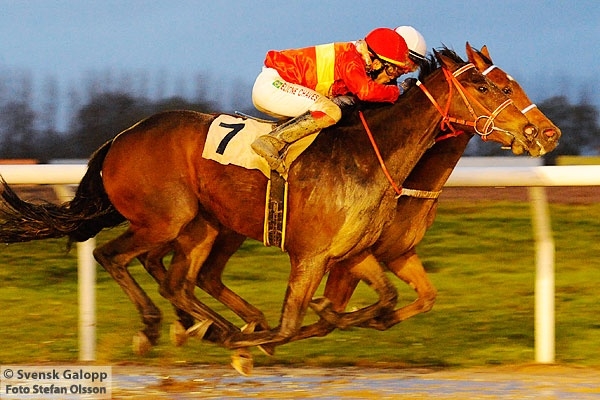 Azincourt Azincourt