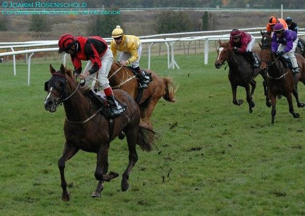Eko Renaisance vinder Samedi Handicap over 1800m Eko Renaissance vinder Samedi Handicap over 1800m