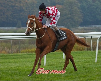 Freja på rette kurs som vinder af Sceptre Stakes over 2200m med 1½ m til nærmeste konkurrent Freja på rette kurs som vinder af Sceptre Stakes over 2200m med 1½ m til nærmeste konkurrent