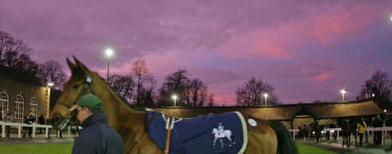 Tattersalls i Newmarket indbyder til verdens største Autumn Horses in Training Sale fra 24 til 27 oktober 2011