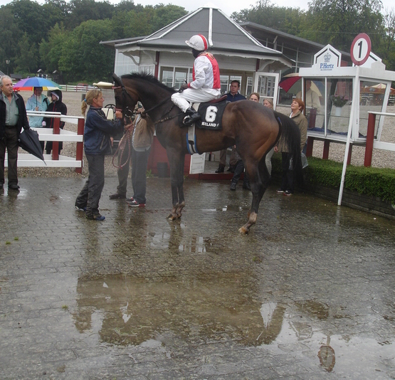 Cut Belle i vindercirklen med jockey Jacob Lokorian. Den ubarmhjertige regn 
kunne dog ikke omdanne vindercirklen til et badekar, som det fremgår af billedet.