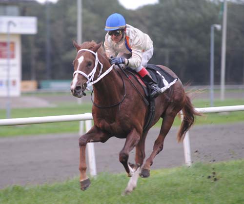 Releasethecracken vinder i 2-åringernes Stayerprøve over 1550m på Jydsk Væddeløbsbane. Jockey Fernando Diaz. Foto: Ole Hindby Releasethecracken vinder i 2-åringernes Stayerprøve over 1550m på Jydsk Væddeløbsbane. Jockey Fernando Diaz. Foto: Ole Hindby
