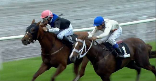 Ale Alejandro (t.v.) med staldens lærling Marcos Robaldo trak sig sejrsrig ud af kampen. Foto Ole Hindby Ale Alejandro (t.v.) med staldens lærling Marcos Robaldo trak sig sejrsrig ud af kampen. Foto Ole Hindby