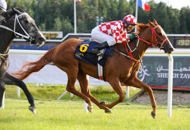 Freja’s anden sejr i 2012 med en måneds mellemrum. Foto Stefan Olsson Svensk Galopp Freja’s anden sejr i 2012 med en måneds mellemrum. Foto Stefan Olsson Svensk Galopp