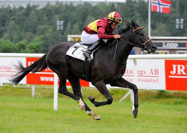Smartinblack (IRE), ejet af Lone Kaj-Nielsen, leverede igen en pragtpræstation, og sejrede med 11,5 længder på Täby Galopp lørdag d. 28. juli. Foto Stefan Olssen, Svensk Galopp Smartinblack (IRE), ejet af Lone Kaj-Nielsen, leverede igen en pragtpræstation, og sejrede med 11,5 længder på Täby Galopp lørdag d. 28. juli. Foto Stefan Olsson, Svensk Galopp