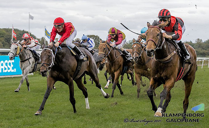 Call Of Duty (til højre) med jockey Elione Chaves ses her ryste samtlige syv konkurrenter af sig i Tortue Efterårshandicap på Klampenborg Galopbane lørdag den 8. oktober 2016. Foto Burt Seeger Call Of Duty (til højre) med jockey Elione Chaves ses her ryste samtlige syv konkurrenter af sig i Tortue Efterårshandicap på Klampenborg Galopbane lørdag den 8. oktober 2016. Foto Burt Seeger