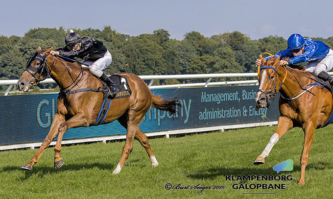 Maidensejr til De Fem Stjerner i hestens andet løb, redet af jockey Oliver Wilson. Foto Burt Seeger Maidensejr til De Fem Stjerner i hestens andet løb, redet af jockey Oliver Wilson.
Foto Burt Seeger