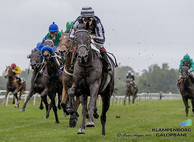 Elektra Art (IRE) vinder sikkert Dansk Oaks 2016 med 1,5 længde. Foto Burt Seeger Elektra Art (IRE) vinder sikkert Dansk Oaks 2016 med 1,5 længde. Foto Burt Seeger