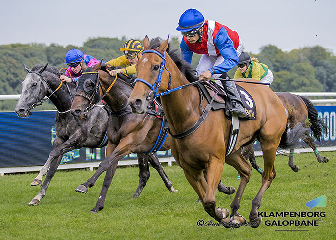 Exquest sejrer med jockey Carlos Lopez i Benny Jensen Memorial. Foto Burt Seeger Exquest sejrer med jockey Carlos Lopez i Benny Jensen Memorial. Foto Burt Seeger