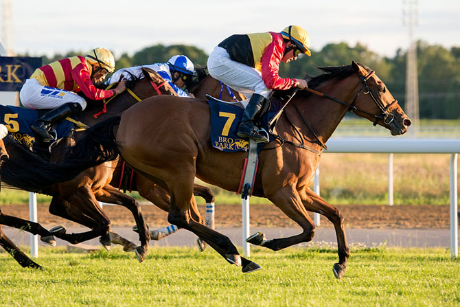 Stall Cambre's Hoku (IRE) med jockey Manuel Santos vinder Ellicat Sprint over 1200m på Bro Park den 12. juli 2016. Foto Elina Björklund, Svensk Galopp Stall Cambre's Hoku (IRE) med jockey Manuel Santos
vinder Ellicat Sprint over 1200m på Bro Park den 12. juli 2016. Foto Elina Björklund, Svensk Galopp