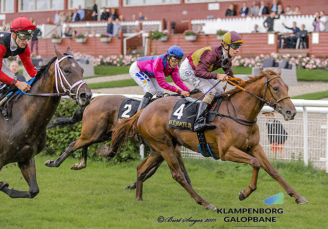 2-årige Mont Rose vinder i sin tredje start på Klampenborg Galopbane lørdag den 2. juli 2016 med jockey Jacob Johansen. Fot Burt Seeger 469