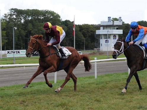 For anden gang i Mont Rose’s 2-årige karriere ser vi her hesten på vej mod sejr på Jydsk Væddeløbsbane lørdag den 1. oktober, redet af jockey Jacob Johansen. Foto: Ole Hindby For anden gang i Mont Rose’s 2-årige karriere ser vi her hesten på vej mod sejr på Jydsk Væddeløbsbane lørdag den 1. oktober, redet af jockey Jacob Johansen. Foto: Ole Hindby