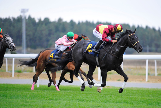 No Comment, ejet af Lone Kaj-Nielsen, opnår sin
første sejr på Bro Park søndag den 11. sep. 2016. Foto Stefan Olsson, Svensk Galopp No Comment, ejet af Lone Kaj-Nielsen, opnår sin
første sejr på Bro Park søndag den 11. sep. 2016. Foto Stefan Olsson, Svensk Galopp