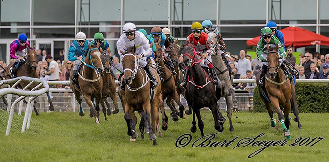 Derbyfeltet 2017, Klampenborg Galopbane. Foto Burt Seeger Derbyfeltet 2017, Klampenborg Galopbane. Foto Burt Seeger