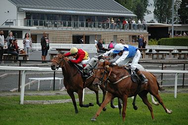 Hoku (IRE), ejet af Stall Cambre, opnåede en andenplads i listed løb -
Lanwades Stud Stakes (L) på Øvrevoll Galoppbane 29. juli 2017. Foto Henning Døvle Hoku (IRE), ejet af Stall Cambre, opnåede en andenplads i listed løb -
Lanwades Stud Stakes (L) på Øvrevoll Galoppbane 29. juli 2017. Foto Henning Døvle