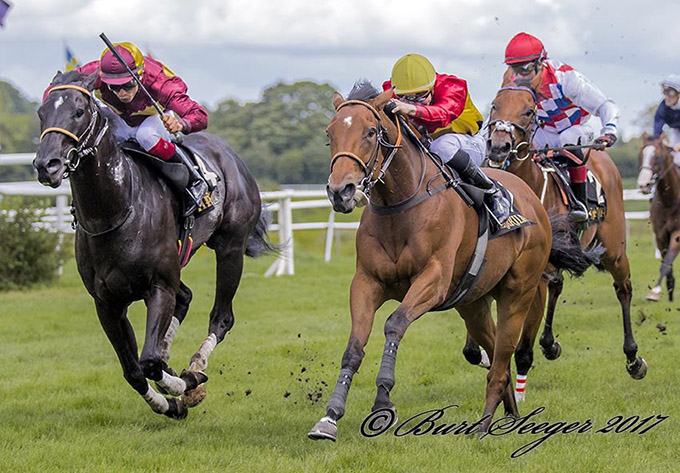Hoku (IRE) med jockey Kevin Stott vinder Zawavi Sprint Cup i nærkamp med No Comment (t.v.), Klampenborg Galopane, 6. aug. 2017. Foto Burt Seeger Hoku (IRE) med jockey Kevin Stott vinder Zawavi Sprint Cup i nærkamp med No Comment (t.v.), Klampenborg Galopane, 6. aug. 2017. Foto Burt Seeger