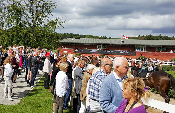 Publikum ved paddocken, Derby dag 2017, Klampenborg Galopbane. Foto Styles-OK Publikum ved paddocken, Derby dag 2017, Klampenborg Galopbane. Foto Styles-OK