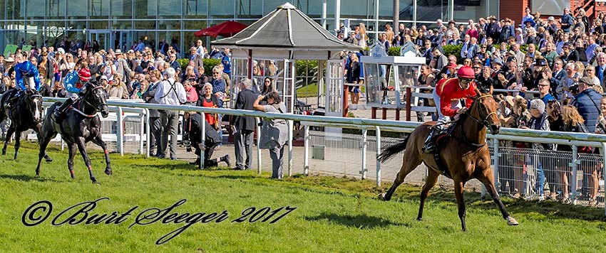 Sliceoflife (GB) og jockey Oliver Wilson på vej mod sejr med 4 længder i Betty Hertz Mindeløb, 8. aug. 2017, Klampenborg Galopbane. Foto Burt Seeger Sliceoflife (GB) og jockey Oliver Wilson på vej
mod sejr med 4 længder i Betty Hertz Mindeløb, 8. aug. 2017, Klampenborg Galopbane. Foto Burt Seeger
