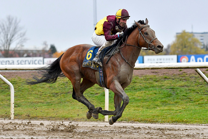 Lone Kaj-Nielsens Cabanac (GB) sejrer for anden gang i 2019 på Jägersro. Foto Stefan Olsson, Svenskt Galopp. Lone Kaj-Nielsens Cabanac (GB) sejrer for anden gang i 2019 på Jägersro. Foto Stefan Olsson, Svenskt Galopp