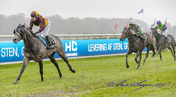 Sejr til Lone Kaj-Nielsens Grey Flash (USA), redet af Carlos Lopez. i Basnæsløb, 2. nov. 2019. Foto Burt Seeger Sejr til Lone Kaj-Nielsens Grey Flash (USA), redet af Carlos Lopez. i Basnæsløb, 2. nov. 2019. Foto Burt Seeger