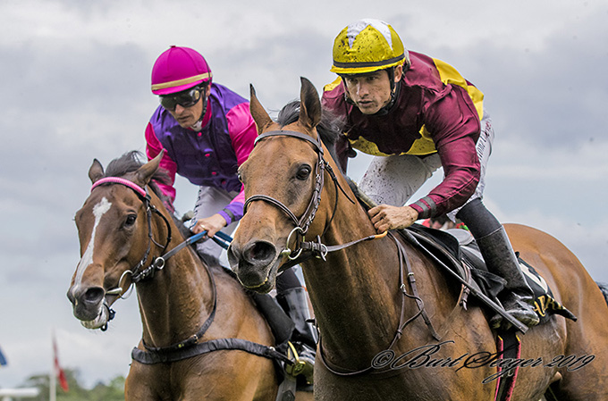 Jubilance (IRE) sejrer i et klasse 1 handicapløb på Klampenborg, lørdag den 8. juni. Foto Burt Seeger Jubilance (IRE) sejrer i et klasse 1 handicapløb på Klampenborg, lørdag den 8. juni. Foto Burt Seeger