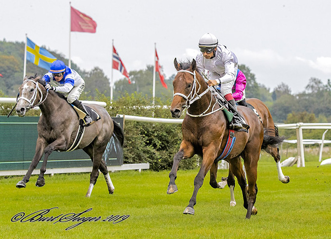 Laban med jockey Carlos Lopez på ryggen sejrede med godt én længde i 2-Års MaidenSerien foran otte gode konkurrenter. Foto Burt Seeger Laban med jockey Carlos Lopez på ryggen sejrede med godt én længde i 2-Års MaidenSerien foran otte gode konkurrenter. Foto Burt Seeger