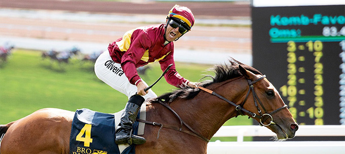Learn By Heart (GB), ejet af Lone Kaj-Nielsen sejrer i Stockholms Stora Pris (Gr. 3), redet af Rafael De Oliveira. Foto Stefan Olsson, Svenskt Galopp Learn By Heart (GB), ejet af Lone Kaj-Nielsen sejrer i Stockholms Stora Pris (Gr. 3), redet af Rafael De Oliveira. Foto Stefan Olsson, Svenskt Galopp