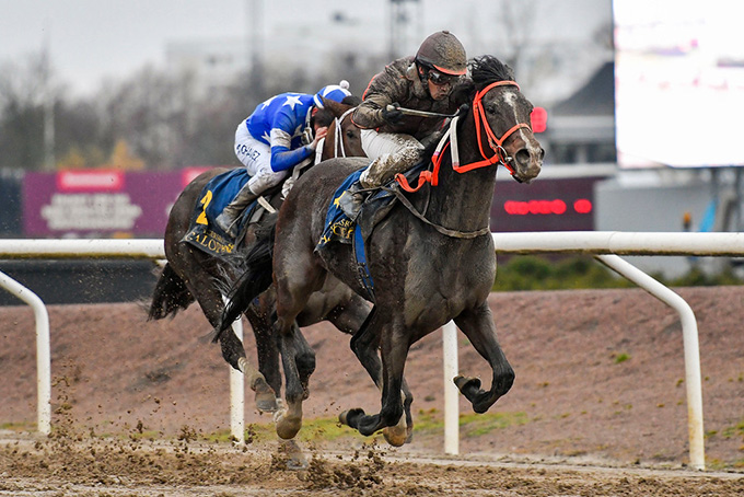 Miintaka (IRE) på vej mod sin anden sejr i år på Jägersro, redet af jockey Carlos Lopez. Foto Stefan Olsson, Svenskt Galopp Miintaka (IRE) på vej mod sin anden sejr i år på Jägersro, redet af jockey Carlos Lopez. Foto Stefan Olsson, Svenskt Galopp