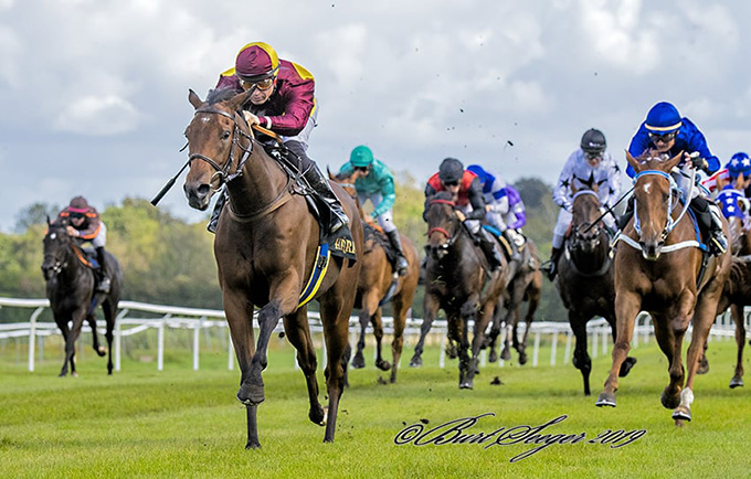 New Target, født 2017, vinder Dansk Galops Auktionsløb 2019 med jockey Manuel Martinez i sadlen. Foto Burt Seeger New Target, født 2017, vinder Dansk Galops Auktionsløb 2019 med jockey Manuel Martinez i sadlen. Foto Burt Seeger