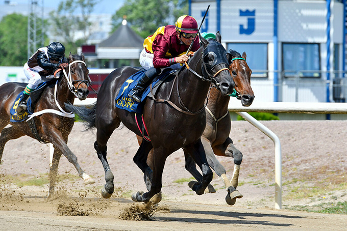 No Comment med jockey Elione Chaves sejrer på Jägersro på Jägersro for anden gang i et sprintløb indenfor kort tid. Foto Stefan Olsson, Svenskt galopp No Comment med jockey Elione Chaves sejrer på Jägersro for anden gang i et sprintløb indenfor kort tid. Foto Stefan Olsson, Svenskt galopp