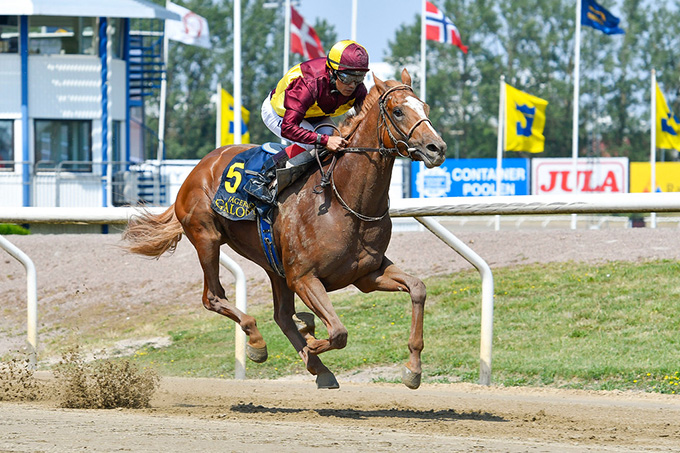 Red Cactus med jockey Carlos Lopez på vej mod en overlegen sejr i svenskt derby trial, 26. juni 2019. Foto Stefan Olsson, Svenskt Galopp Red Cactus med jockey Carlos Lopez på vej mod en overlegen sejr i svenskt derby trial, 26. juni 2019. Foto Stefan Olsson, Svenskt Galopp