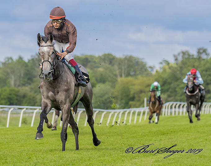 Silverstone med jockey Carlos Lopez i sit rette element på vej mod mål som den første i 3 års løb. Foto Burt Seeger Silverstone med jockey Carlos Lopez i sit rette element på vej mod mål som den første i 3 års løb. Foto Burt Seeger