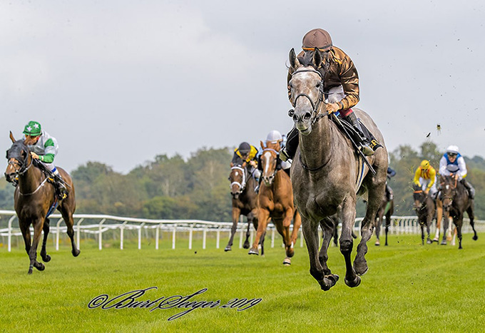 Kjeldsbjergaard ApS' danskopdrættede Silverstone på vej mod en overlegen sejr i Dansk Oaks 2019, redet af jockey Carlos Lopez. Foto Burt Seeger Kjeldsbjergaard ApS' danskopdrættede Silverstone på vej mod en overlegen sejr i Dansk Oaks 2019, redet af jockey Carlos Lopez. Foto Burt Seeger