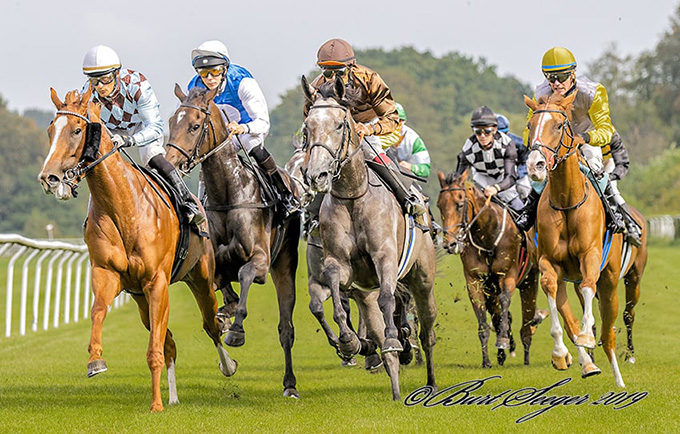 Oaksvinderen Silverstone (den grå) med jockey Carlos Lopez på vej rundt tribunesvinget i Dansk Oaks 2019, 1. sep. Klampenborg Galopbane. Foto Burt Seeger Oaksvinderen Silverstone (den grå) med jockey Carlos Lopez på vej rundt tribunesvinget i Dansk Oaks 2019, 1. sep. Klampenborg Galopbane. Foto Burt Seeger