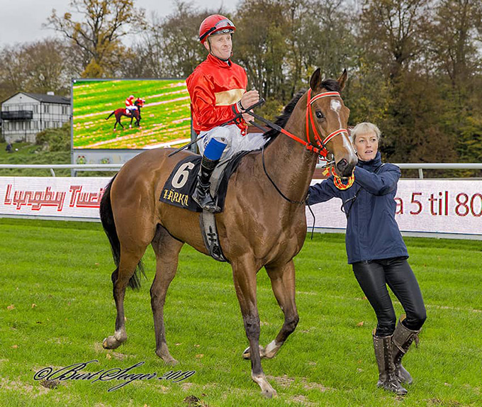 Jockey Nicolaj Stott på ryggen af Stoneeye's Kitten på vej ind i vindercirklen, lørdag den 26. okt. . Foto Burt Seeger Jockey Nicolaj Stott på ryggen af Stoneeye's Kitten på vej ind i vindercirklen, lørdag den 26. okt. Foto Burt Seeger
