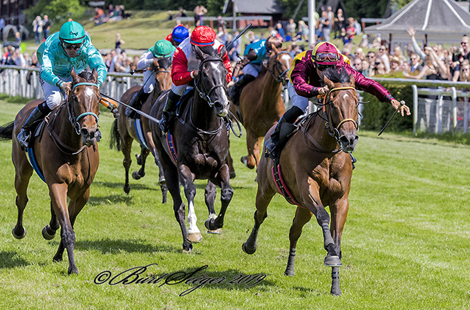Talisman (FR) med Elione Chaves tager tredje sejr på stribe i 2019. Foto Burt Seeger Talisman (FR) med Elione Chaves tager tredje sejr på stribe i 2019. Foto Burt Seeger