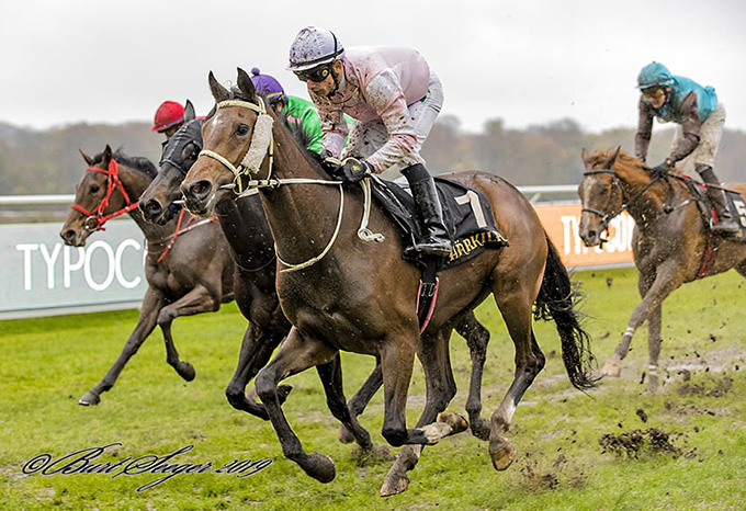 2-årige Wonder Why, ejet af Beatrice Marsing, sejrer i et maidenløb efter andet forsøg, 2. nov., 2019, redet af jockey Elione Chaves. Foto Burt Seeger 2-årige Wonder Why, ejet af Beatrice Marsing, sejrer i et maidenløb efter andet forsøg, 2. nov., 2019, redet af jockey Elione Chaves. Foto Burt Seeger