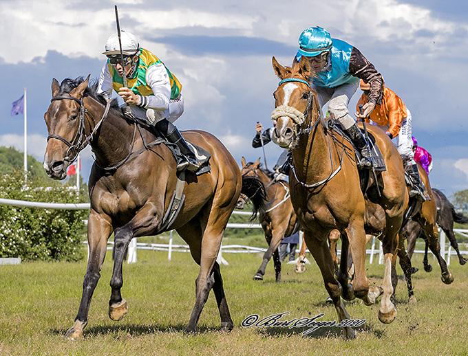 Send Me An Angel (med hvid hue) bliver redet til sejr af jockey Elione Chaves i et 2200 meter maidenløb på Klampenborg Galopbane, lørdag den 6. juni 2020. Foto Burt Seeger Send Me An Angel (med hvid hue) bliver redet til sejr af jockey Elione Chaves i et 2200 meter maidenløb på Klampenborg Galopbane, lørdag den 6. juni 2020. Foto Burt Seeger