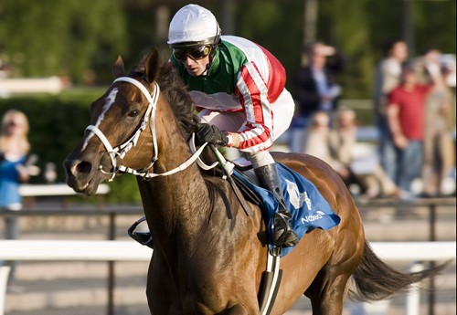 Sejr til Volo Cat, Øvrevoll Mile Cup 2008 Sejr til Volo Cat, Øvrevoll Mile Cup 2008