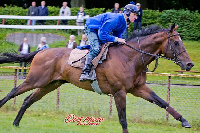 Cantenac forbereder sig mandag morgen til Härkila 111. Pokalløb (L) på Derbydag 2012. Foto Burt Seeger