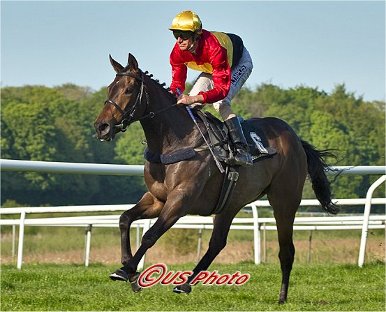 Dingle View (IRE) sejrer i 1000 Guineas, Klampenborg 7. maj 2011. Foto US Photo